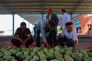 吃瓜服务中心,吃瓜服务中心带你领略明星幕后故事